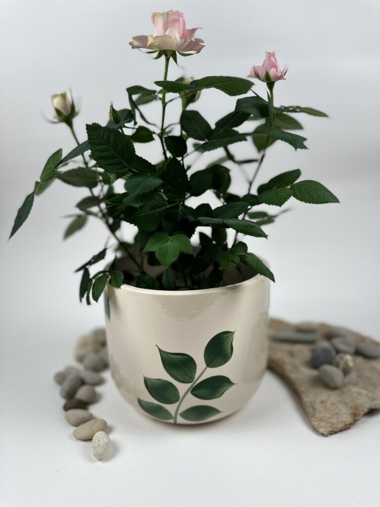 Cvetlični lonec - Tropical